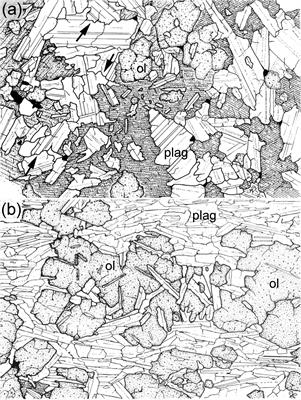 Insights Into Magma Chamber Processes From the Relationship Between Fabric and Grain Shape in Troctolitic Cumulates